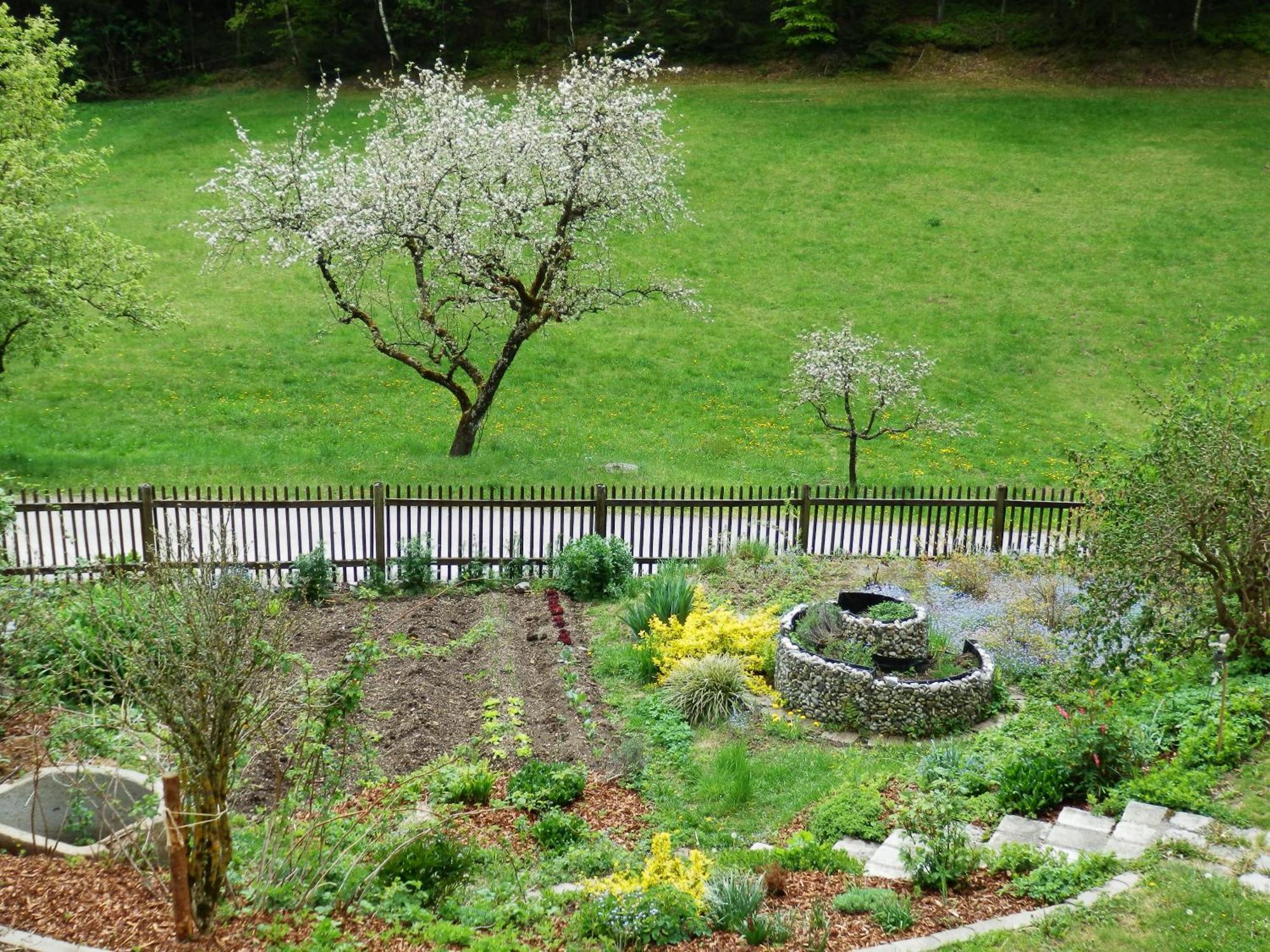 Naturoase Muehlviertel Sankt Johann am Wimberg Room photo